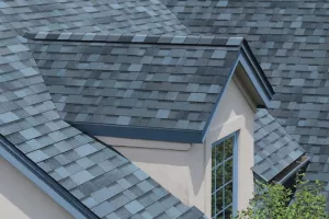 Blue architectural shingles on a Maryland roof, demonstrating quality roofing materials.